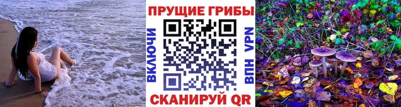 купить наркотик Белокуриха Галлюциногенные грибы мухоморы